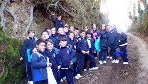 Alumnos en el Campo