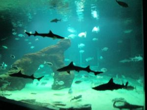 Visita alumnos museo marítimo