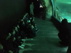 Salida Museo 5 años