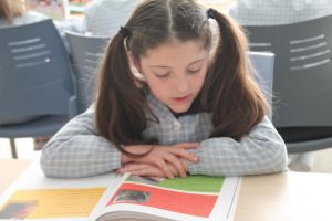 biblioteca primaria6