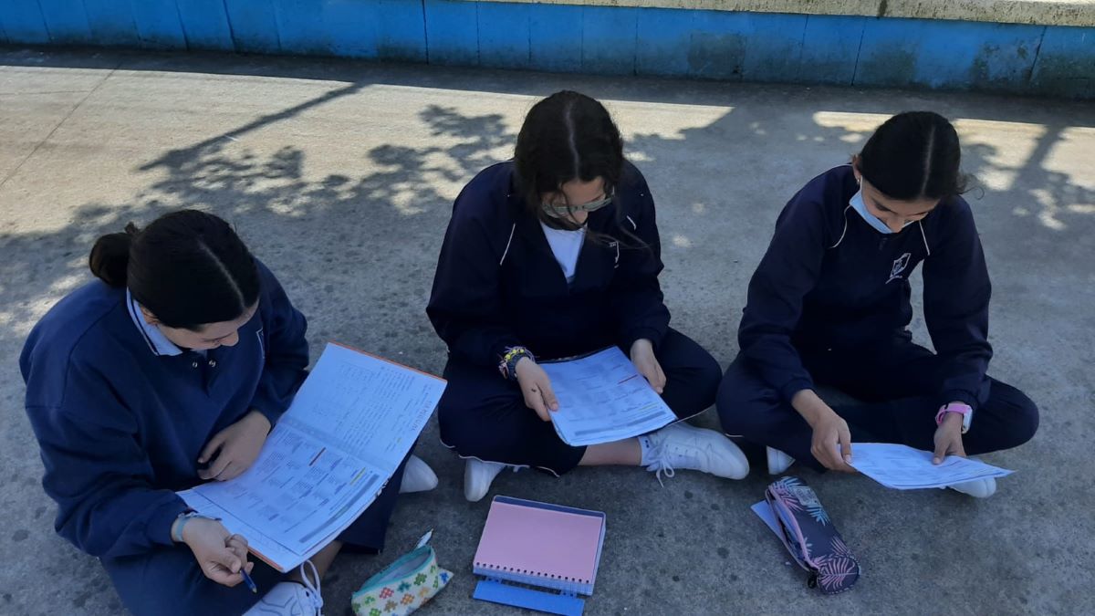 5 Alumnos trabajando en el patio